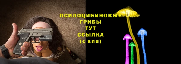 дмт Пестово