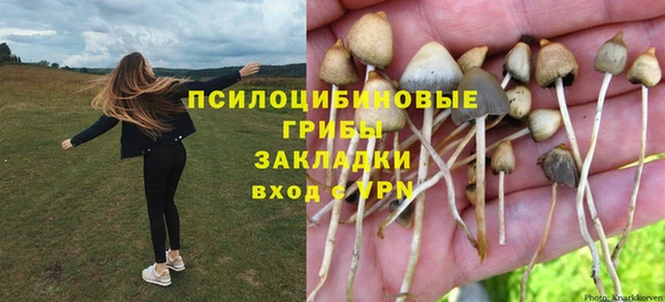 прущие крисы Абинск